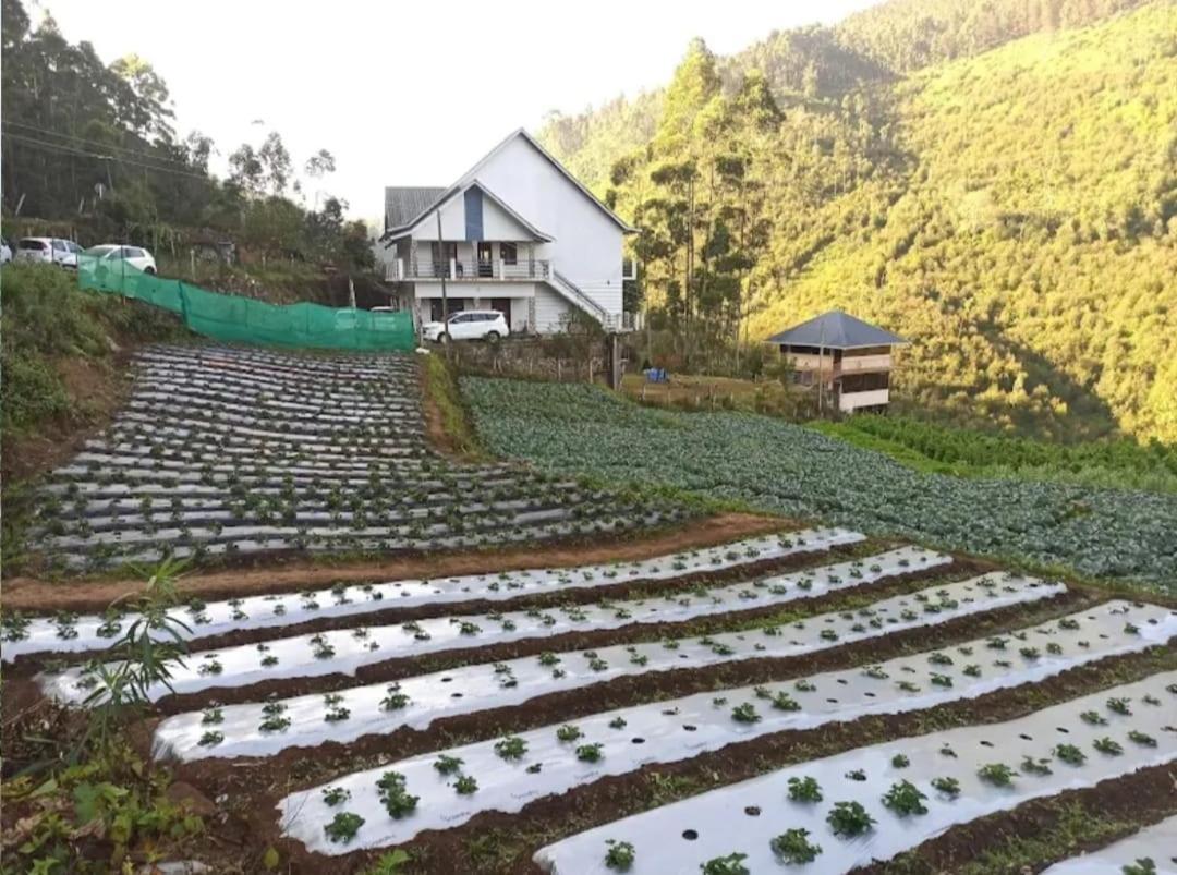 Shola County Bed & Breakfast Vattavada Luaran gambar